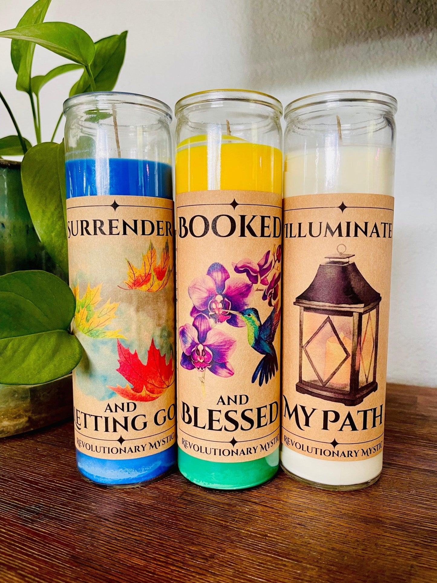 Booked and Blessed Soy Wax Candle - Nontoxic Hand - Poured Candle - Revolutionary Mystic