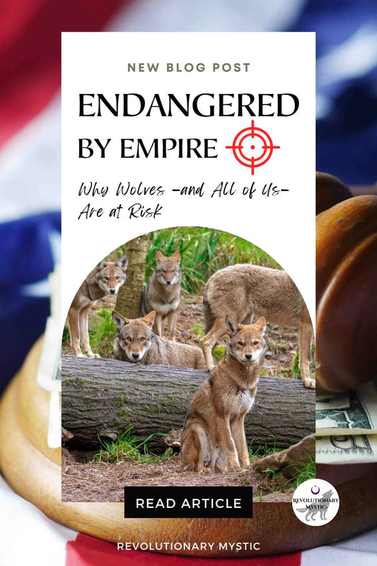 Endangered by Empire: Why Wolves, and All of Us, Are at Risk - Revolutionary Mystic