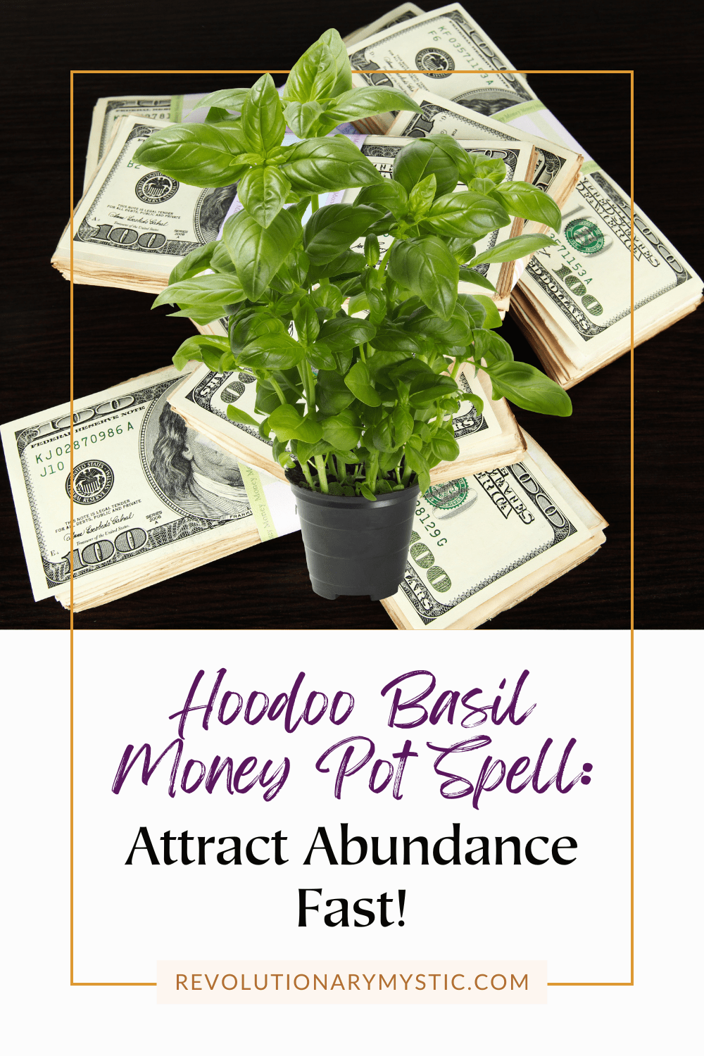 Hoodoo Basil Money Pot Spell: Attract Abundance Fast - Revolutionary Mystic