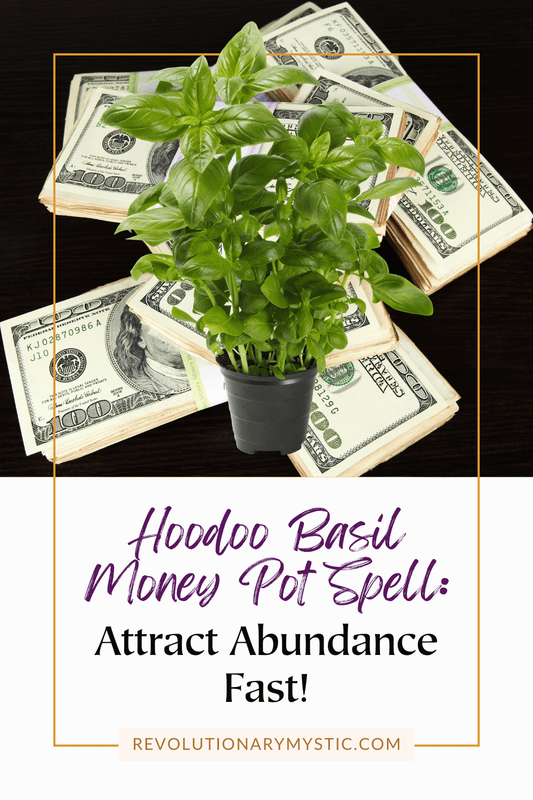 Hoodoo Basil Money Pot Spell: Attract Abundance Fast - Revolutionary Mystic