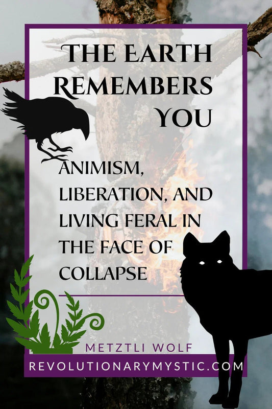 The Earth Remembers You: Animism, Liberation, and Living Feral in the Face of Collapse - Revolutionary Mystic