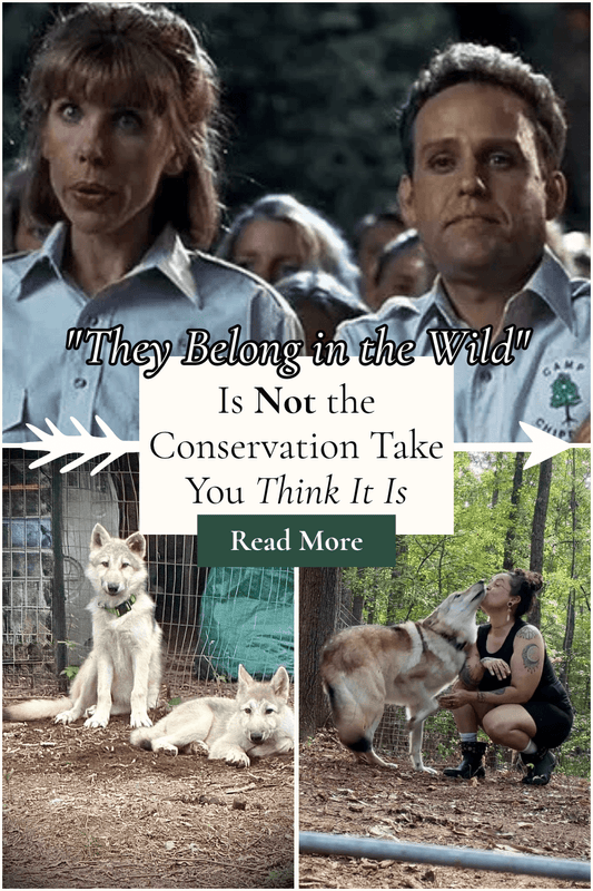"They Belong in the Wild" Is Not the Conservation Take You Think It Is - Black Moon Ritualcraft