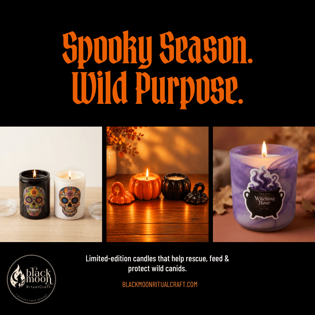 Halloween Candle Collection