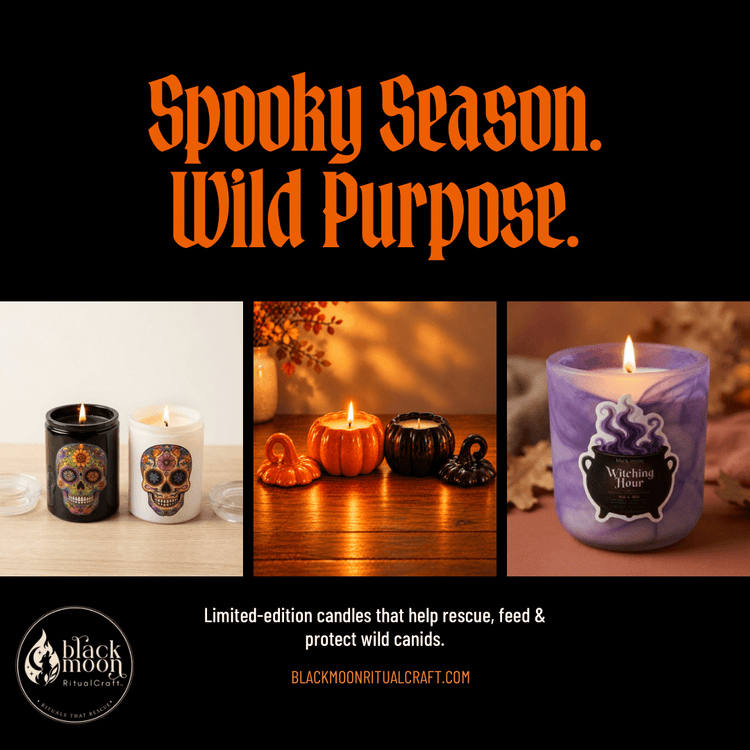 Halloween Candle Collection