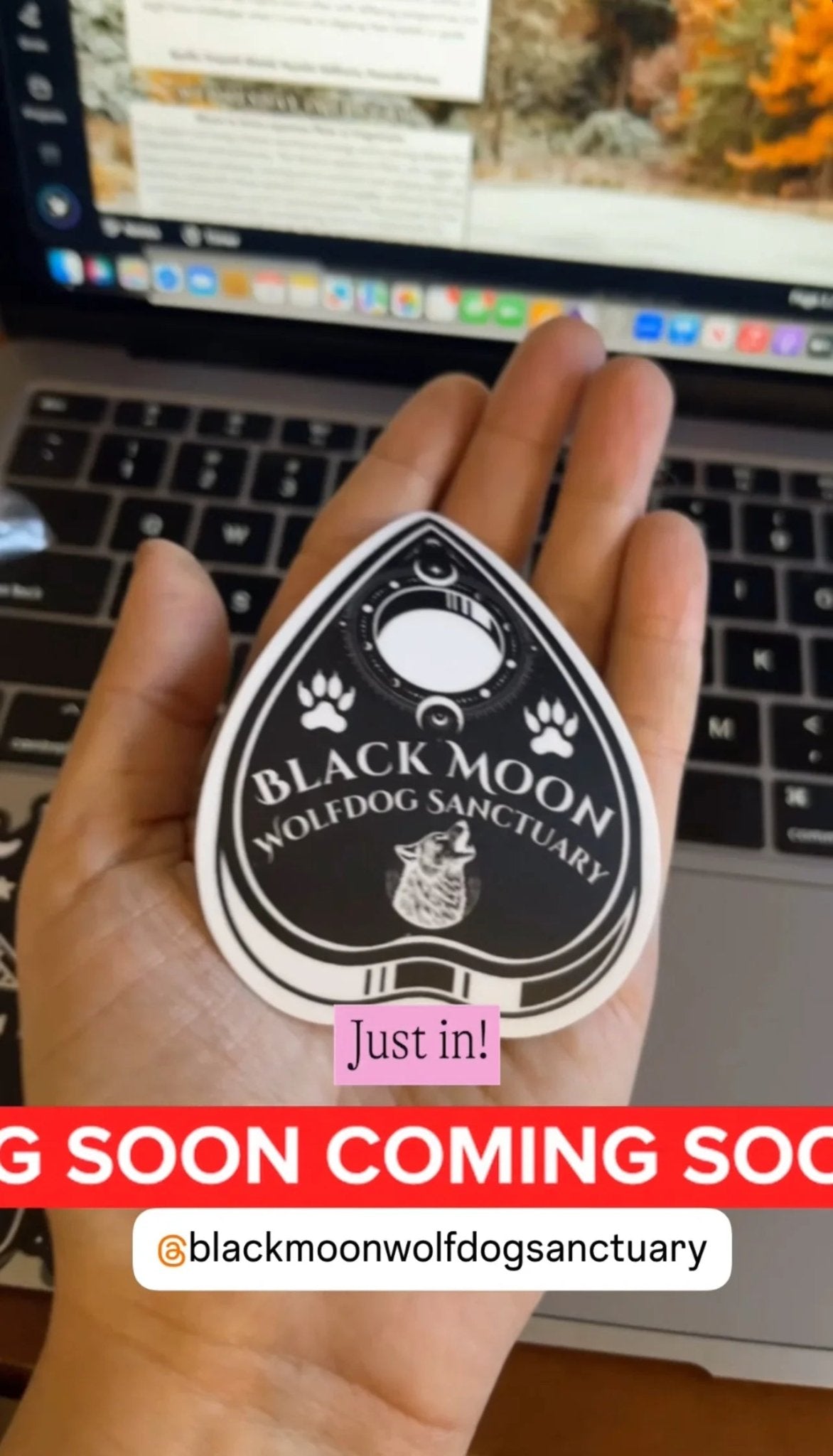 Black Moon Sanctuary Planchette Sticker - Revolutionary Mystic