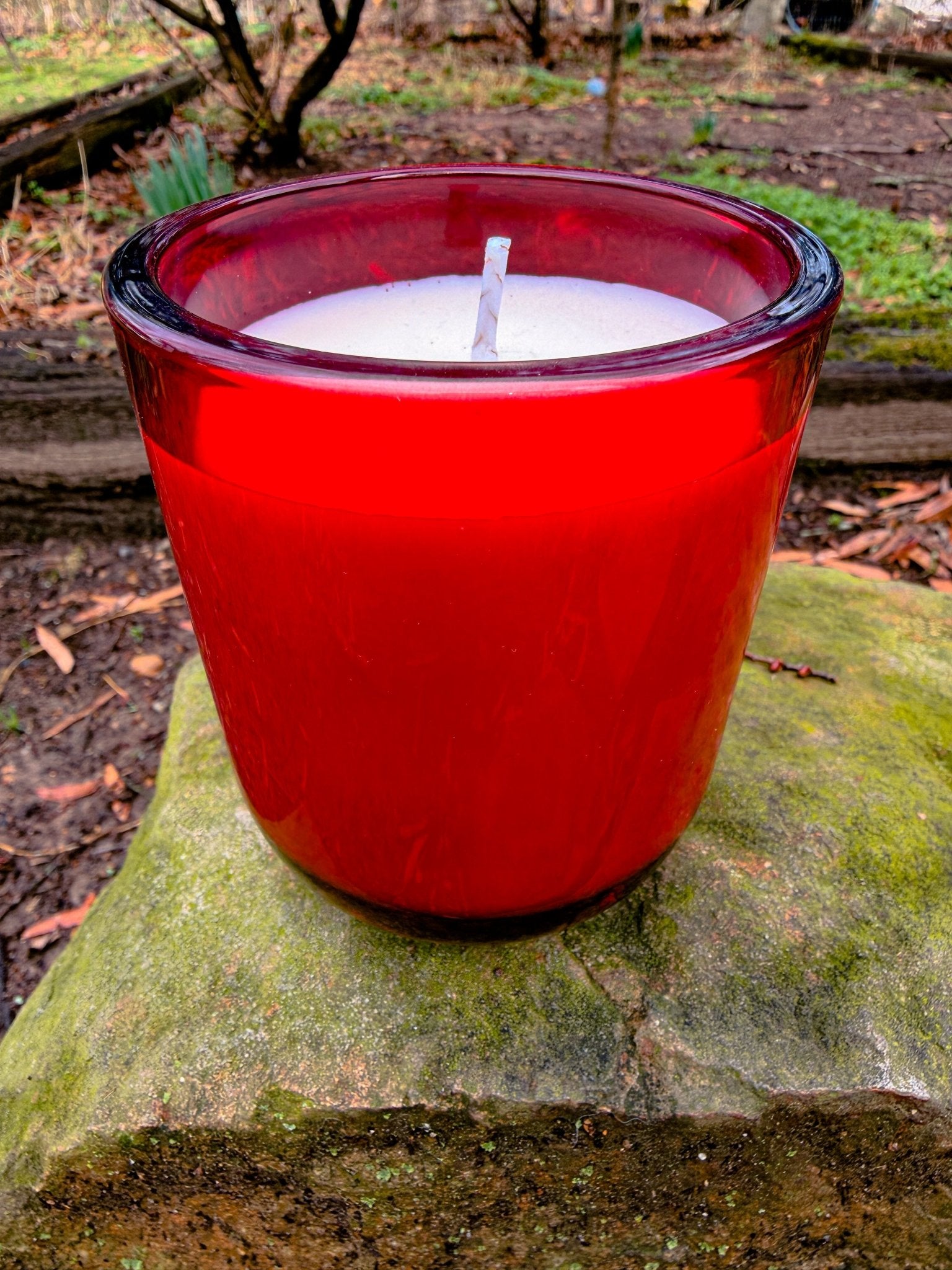 Devotion Nontoxic Soy Wax Candle - Revolutionary Mystic