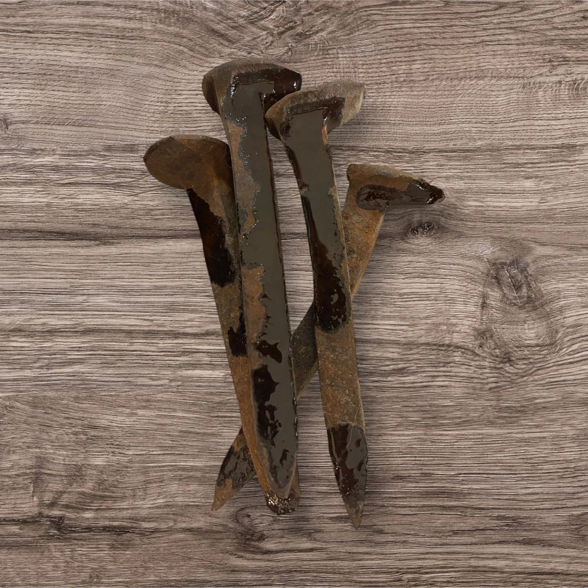 Railroad Spikes for Hoodoo Protection - Revolutionary Mystic